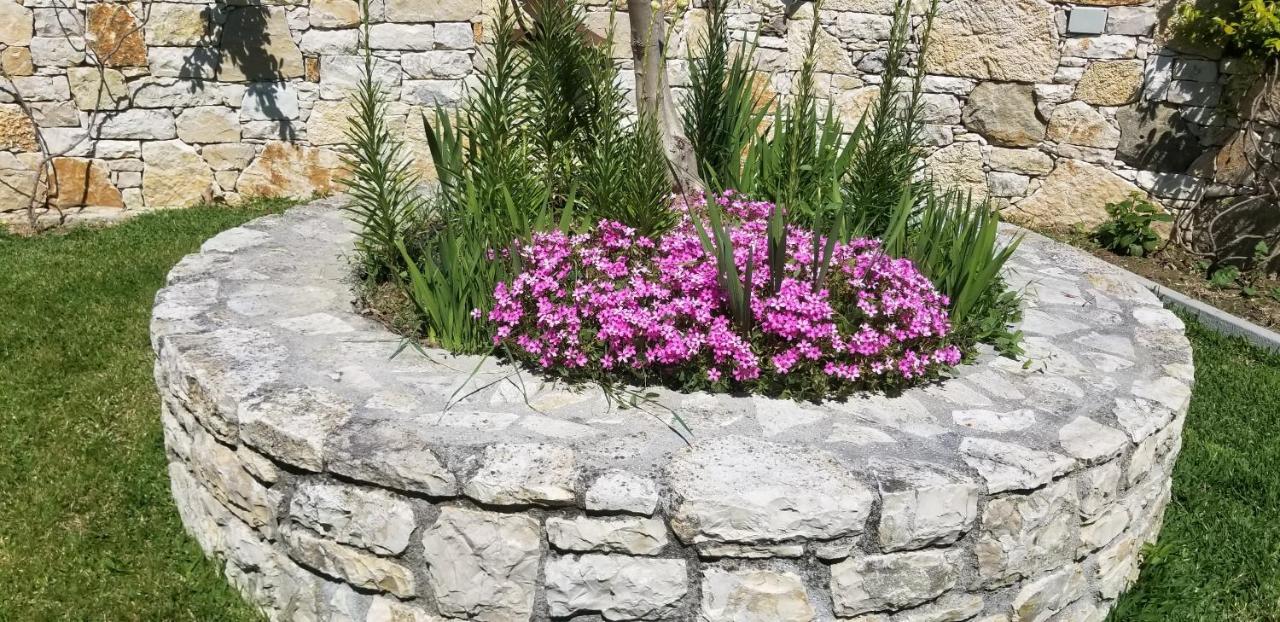 Country House Bubullime Albania Lushnje Экстерьер фото