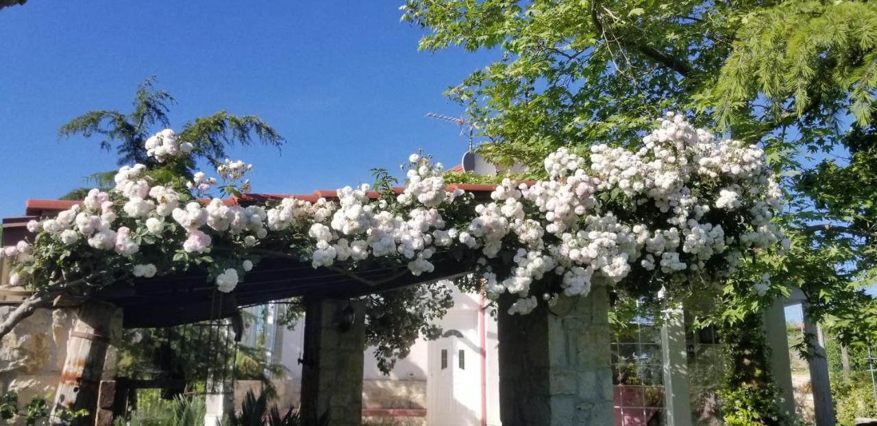 Country House Bubullime Albania Lushnje Экстерьер фото
